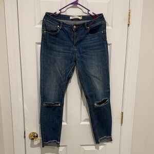 Classic Blue Distressed Skinny Jeans